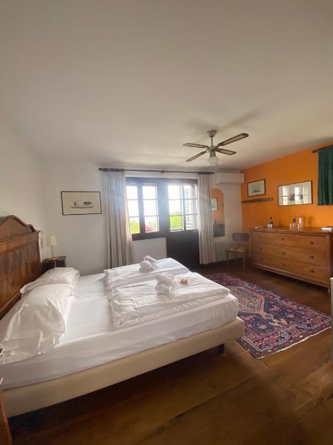 Agriturismo Scacciapensieri Buttrio Экстерьер фото
